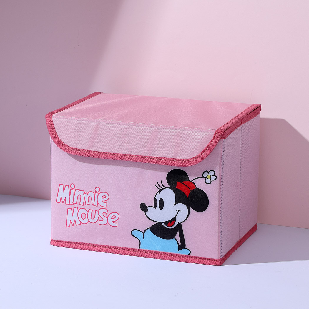 Hoiukast S Disney Minnie
