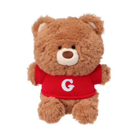 Pehme mänguasi istuv 25 cm kampsuniga Gift Bear